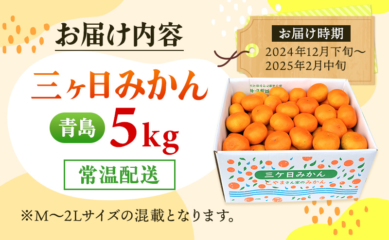 5kg 三ヶ日みかん 青島 M〜2L 混在 蜜柑 ミカン 果物 くだもの 浜松