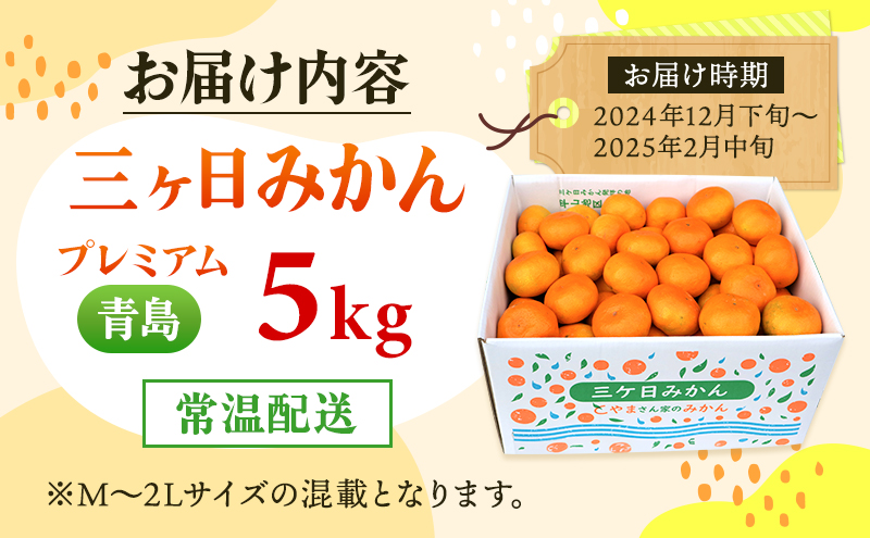 【2024年12月下旬より順次発送】三ヶ日みかん プレミアム（青島5kg）光センサー選果 果物 柑橘 フルーツ デザート 食後 おやつ 糖度 以上 箱詰め 混載 濃厚 冬の味覚 静岡県産 産地直送 ビタミン 