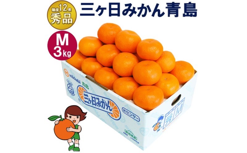 三ケ日みかん 青島【秀品】Mサイズ3kg(27個前後) ミカン 果物 くだもの フルーツ 甘い 静岡県 浜松市 果物類 柑橘類 ※配送不可：北海道・沖縄県・離島