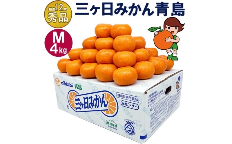 三ケ日みかん 青島【秀品】Mサイズ4kg(36個前後) ミカン 果物 くだもの フルーツ 甘い 静岡県 浜松市 果物類 柑橘類 ※配送不可：北海道・沖縄県・離島
