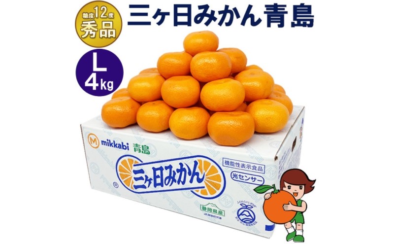 三ケ日みかん 青島【秀品】Lサイズ4kg(30個前後) ミカン 果物 くだもの フルーツ 甘い 静岡県 浜松市 果物類 柑橘類 ※配送不可：北海道・沖縄県・離島