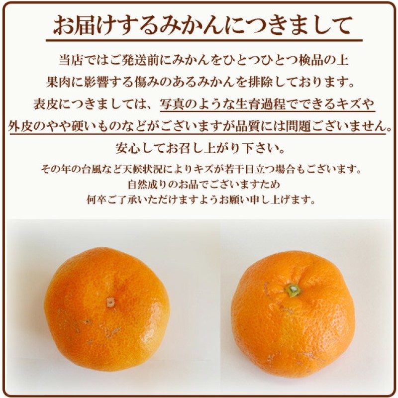 三ケ日みかん 青島【秀品】2Lサイズ7kg(40個前後) ミカン 果物 くだもの フルーツ 甘い 静岡県 浜松市 果物類 柑橘類 ※配送不可：北海道・沖縄県・離島