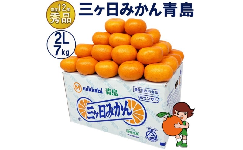 三ケ日みかん 青島【秀品】2Lサイズ7kg(40個前後) ミカン 果物 くだもの フルーツ 甘い 静岡県 浜松市 果物類 柑橘類 ※配送不可：北海道・沖縄県・離島