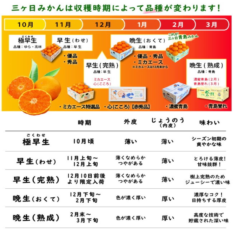 三ケ日みかん 青島【秀品】2Lサイズ7kg(40個前後) ミカン 果物 くだもの フルーツ 甘い 静岡県 浜松市 果物類 柑橘類 ※配送不可：北海道・沖縄県・離島