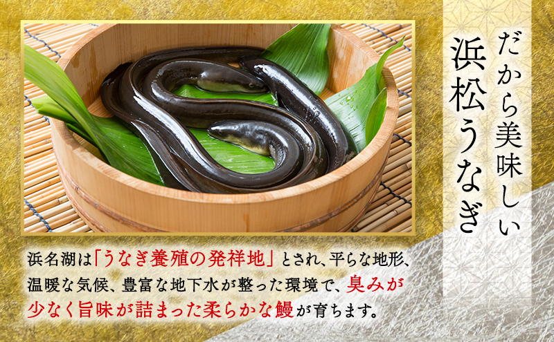 お食事券 うなぎ 浜松市24店舗で使える 9000円 食事券 補助券 チケット レストラン 料理屋 鰻 ウナギ 丑の日 土用の丑の日 静岡 静岡県 浜松市 