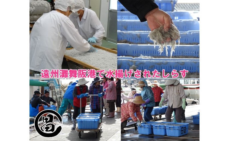 しらす 遠州灘舞阪港直送 しらす干し 1kg (250g×4袋) 小分け 冷凍 シラス 【配送不可:離島】 浜松市