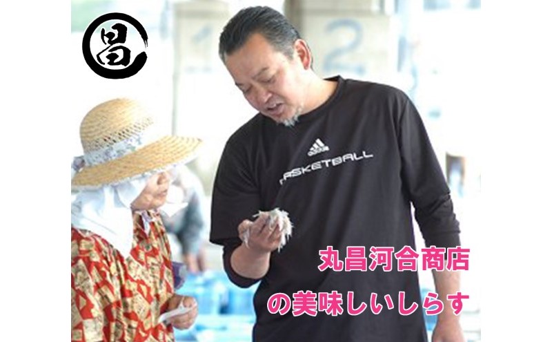 しらす 遠州灘舞阪港直送 しらす干し 1kg (250g×4袋) 小分け 冷凍 シラス 【配送不可:離島】 浜松市