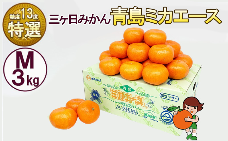 三ケ日みかん 青島 【特選 ミカエース】 Mサイズ3kg(27個前後) ミカン 果物 くだもの フルーツ 甘い 静岡県 浜松市 果物類 柑橘類