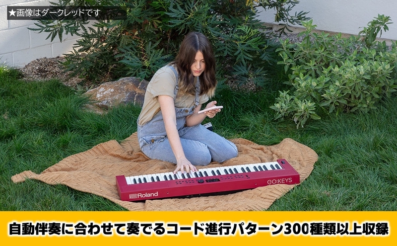 【Roland】61鍵ポータブルキーボード/GO:KEYS 3(ミッドナイトブルー)【配送不可：離島】 キーボード 楽器 音楽制作 初心者 軽量 コンパクト ポータブル ローランド 浜松市