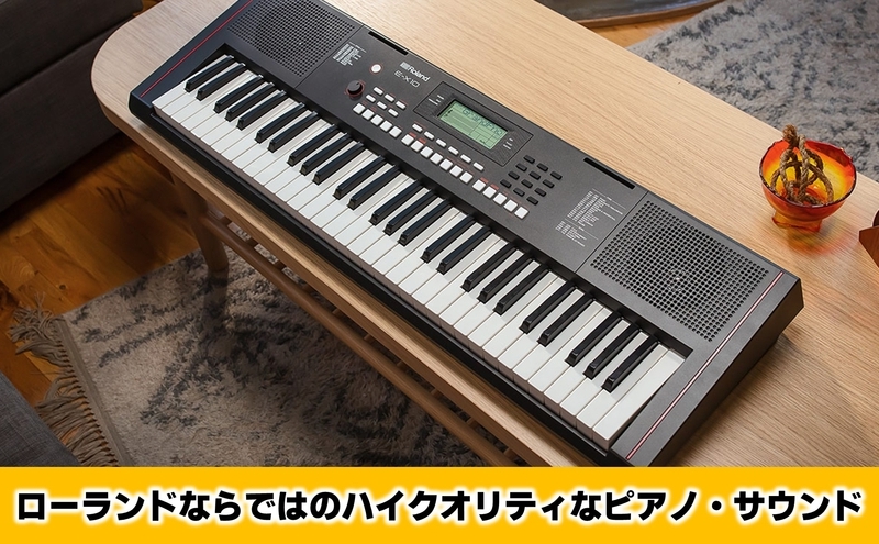 【12月上旬お届け】【Roland】61鍵ポータブルキーボード/E-X10【配送不可：離島】 キーボード 楽器 簡単 初心者 ポータブル 高品質 ローランド 浜松市