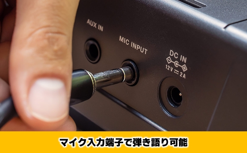 【12月上旬お届け】【Roland】61鍵ポータブルキーボード/E-X10【配送不可：離島】 キーボード 楽器 簡単 初心者 ポータブル 高品質 ローランド 浜松市