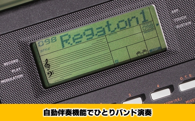 【12月上旬お届け】【Roland】61鍵ポータブルキーボード/E-X10【配送不可：離島】 キーボード 楽器 簡単 初心者 ポータブル 高品質 ローランド 浜松市