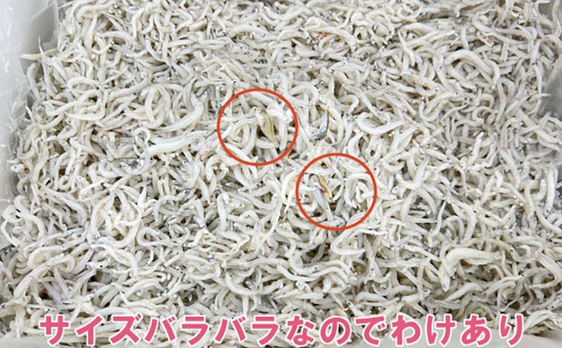 わけあり しらす 遠州灘舞阪港直送 しらす干し 800g（400g×2袋） 冷凍 シラス 訳アリ 【配送不可：離島】 浜松市