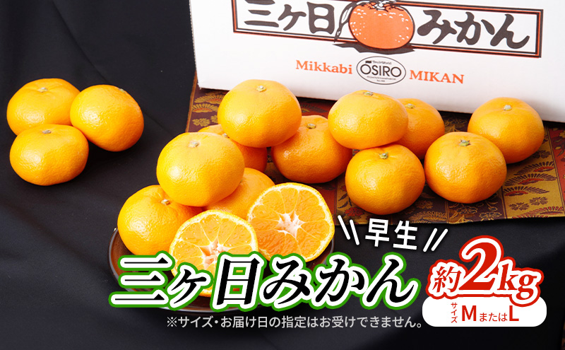 【2026年11月中旬より順次発送】 三ヶ日みかん 早生 約2kg(サイズ：MまたはL) みかん ミカン 果物 柑橘 フルーツ 静岡 浜松市