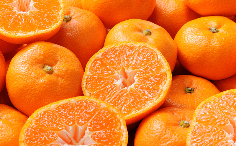 【2026年11月中旬より順次発送】 三ヶ日みかん 早生 約2kg(サイズ：MまたはL) みかん ミカン 果物 柑橘 フルーツ 静岡 浜松市