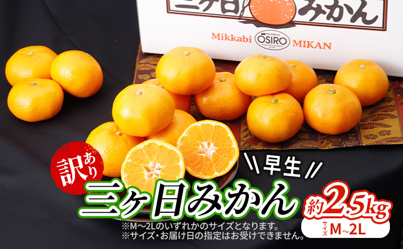 【2026年11月中旬より順次発送】『訳あり』 三ヶ日みかん 早生 2.5kg みかん ミカン 果物 柑橘 フルーツ 訳あり 静岡 浜松市