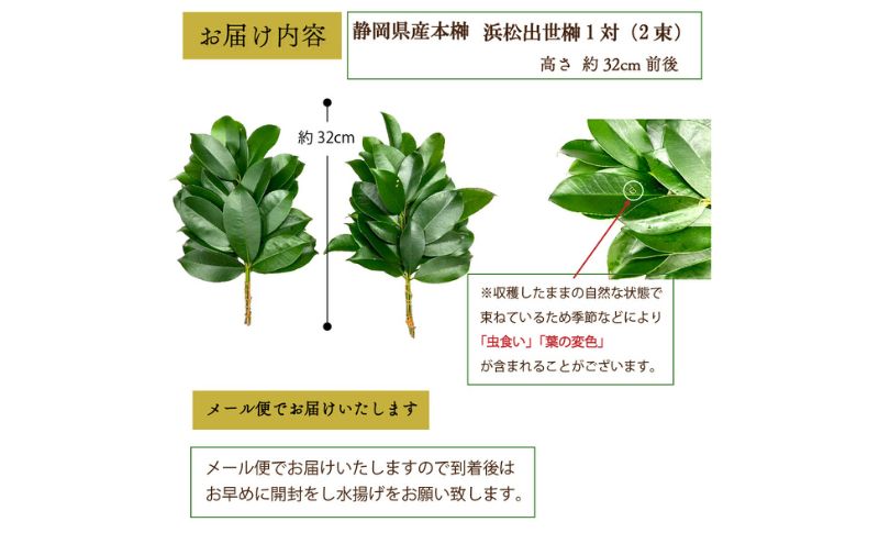 縲仙ョ壽悄萓ソ3蝗槭第ヲ 豬懈收蜃コ荳匁ヲ 譛ャ讎 邏泌嵜逕」 1蟇セシ2譚滂シ嘉3蝗樞サ1譌・莠、謠帙↓髢薙↓蜷医≧繧医≧縺ォ驟埼 蝗ス蜀逕」 譌・謖√■ 螟ァ縺阪> 濶カ繧縺 閧・譁吶ョ縺ソ菴ソ逕ィ 霎イ阮ャ荳堺スソ逕ィ 螳壽悄萓ソ 豬懈收蟶 髱吝イ。逵