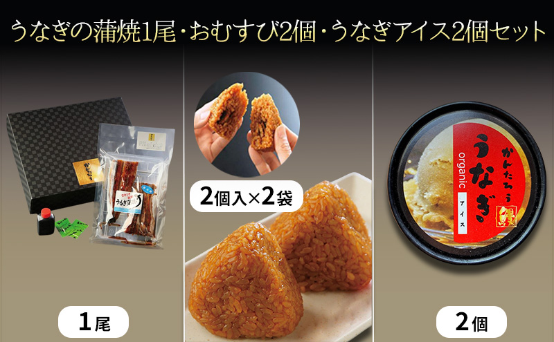 うなぎの蒲焼1尾約120g/うなぎ入りおむすび2個入2袋/うなぎアイス2個セット うなぎ 鰻 ウナギ 蒲焼 アイス おむすび おにぎり おやつ デザート スイーツ セット 冷凍 国産鰻 浜松市 静岡県