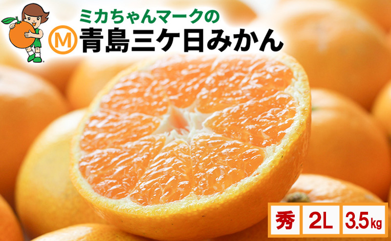 ミカちゃんマークのマルエム青島三ヶ日みかん 秀 2L 3.5kg（約20個） みかん ミカン フルーツ 果物 浜松市
