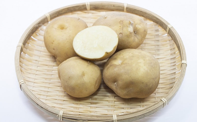 静岡県浜松市産 三方原馬鈴薯 秀品 L 5kg 男爵 じゃがいも じゃが芋 ジャガイモ 国産 野菜 浜松市