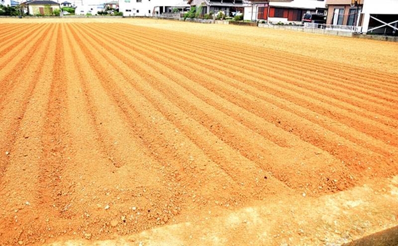 静岡県浜松市産 三方原馬鈴薯 秀品 L 5kg 男爵 じゃがいも じゃが芋 ジャガイモ 国産 野菜 浜松市
