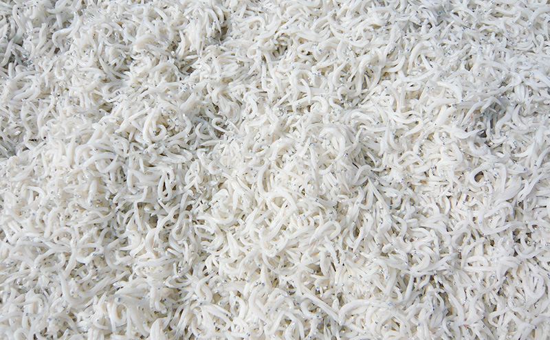 〈丸吉堀江商店〉極上しらす干し 500ｇ（250ｇ×2袋）しらす 魚 魚介 海の幸 おかず 舞阪港 水揚げ 厳選 茹であげ 風味豊か 化粧箱入 静岡 浜松市