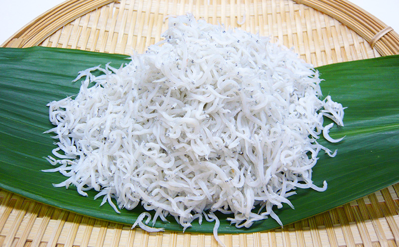 〈丸吉堀江商店〉極上しらす干し 500ｇ（250ｇ×2袋）しらす 魚 魚介 海の幸 おかず 舞阪港 水揚げ 厳選 茹であげ 風味豊か 化粧箱入 静岡 浜松市