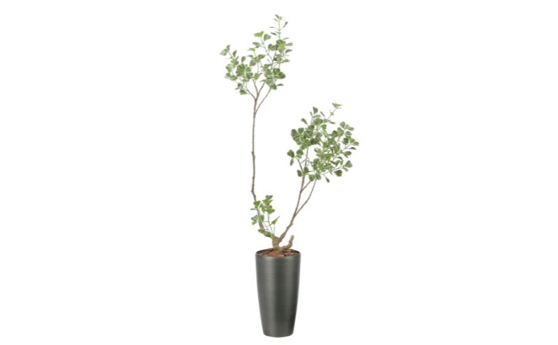 光の楽園 スリムフィカストライアングル1.6【配送不可：北海道・沖縄・離島】 インテリア 光触媒 人工植物 造花 フェイクグリーン 花 フラワー 清浄 消臭 浜松市