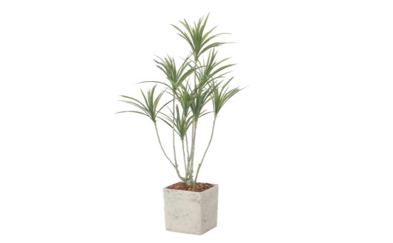 光の楽園 インテリアドラセナ1.4（ポリ製）【配送不可：北海道・沖縄・離島】 インテリア 光触媒 人工植物 造花 フェイクグリーン 花 フラワー 清浄 消臭 浜松市