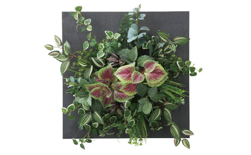 光の楽園 ウォールタイプコリウス45【配送不可：北海道・沖縄・離島】 インテリア 光触媒 人工植物 造花 フェイクグリーン 花 フラワー 清浄 消臭 浜松市