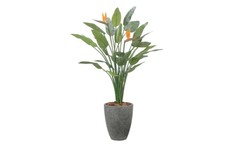 光の楽園 ナチュラルストレチア花付き1.7【配送不可：北海道・沖縄・離島】 インテリア 光触媒 人工植物 造花 フェイクグリーン 花 フラワー 清浄 消臭 浜松市