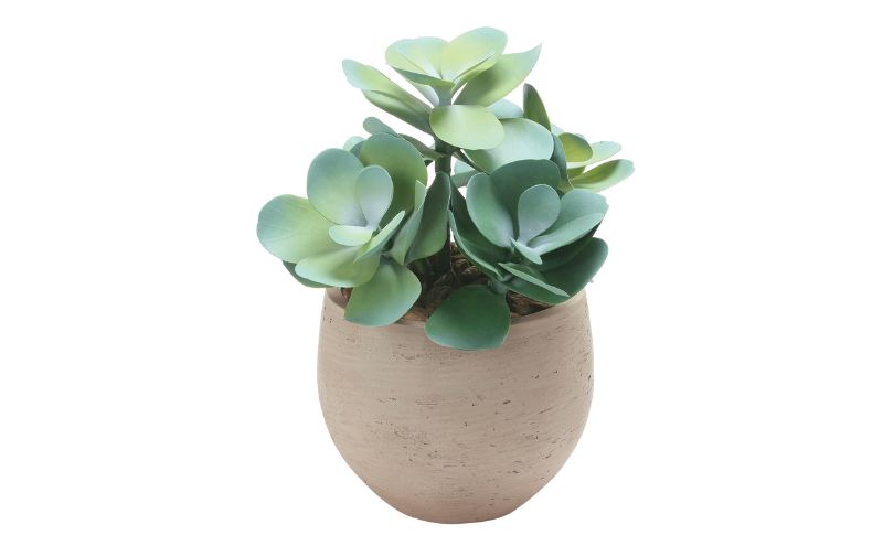 光の楽園 ビッグマネーツリー【配送不可：北海道・沖縄・離島】 インテリア 光触媒 人工植物 造花 フェイクグリーン 花 フラワー 清浄 消臭 浜松市