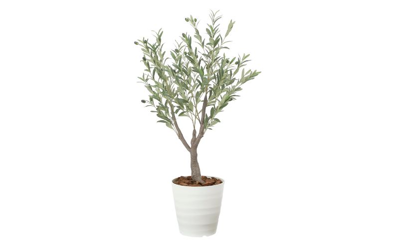 光の楽園 デラックスオリーブ1.2【配送不可：北海道・沖縄・離島】 インテリア 光触媒 人工植物 造花 フェイクグリーン 花 フラワー 清浄 消臭 浜松市