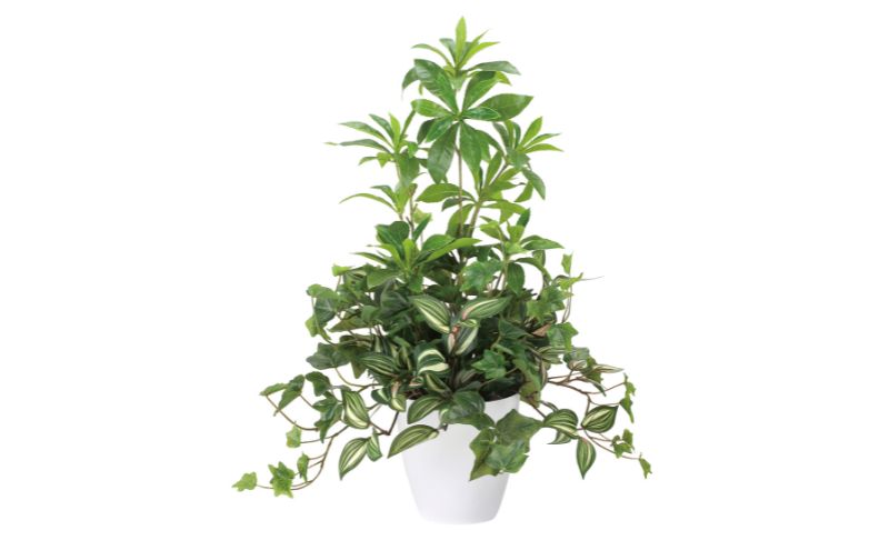 光の楽園 ミックスフレッシュアセビ【配送不可：北海道・沖縄・離島】 インテリア 光触媒 人工植物 造花 フェイクグリーン 花 フラワー 清浄 消臭 浜松市