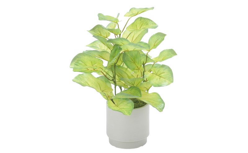 光の楽園 フレッシュバウヒニアS【配送不可：北海道・沖縄・離島】 インテリア 光触媒 人工植物 造花 フェイクグリーン 花 フラワー 清浄 消臭 浜松市