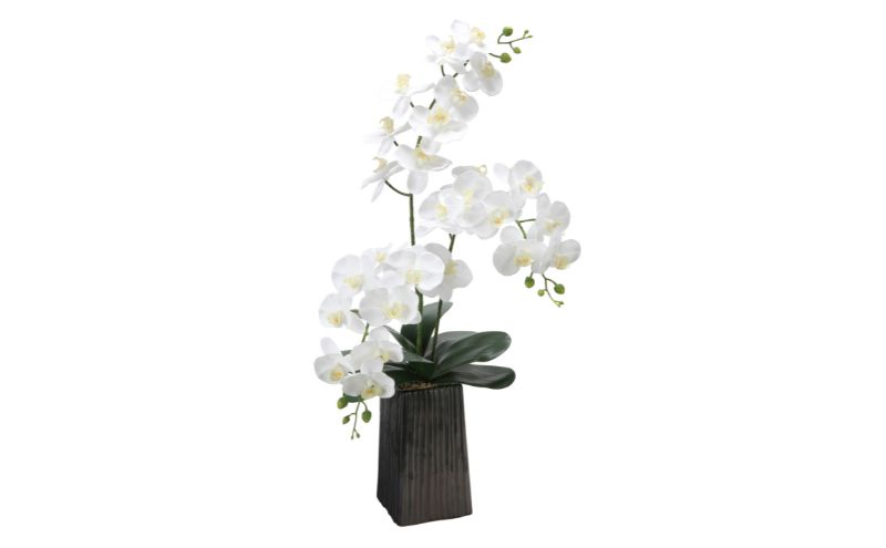 光の楽園 デザインフレッシュ胡蝶蘭【配送不可：北海道・沖縄・離島】 インテリア 光触媒 人工植物 造花 フェイクグリーン 花 フラワー 清浄 消臭 浜松市