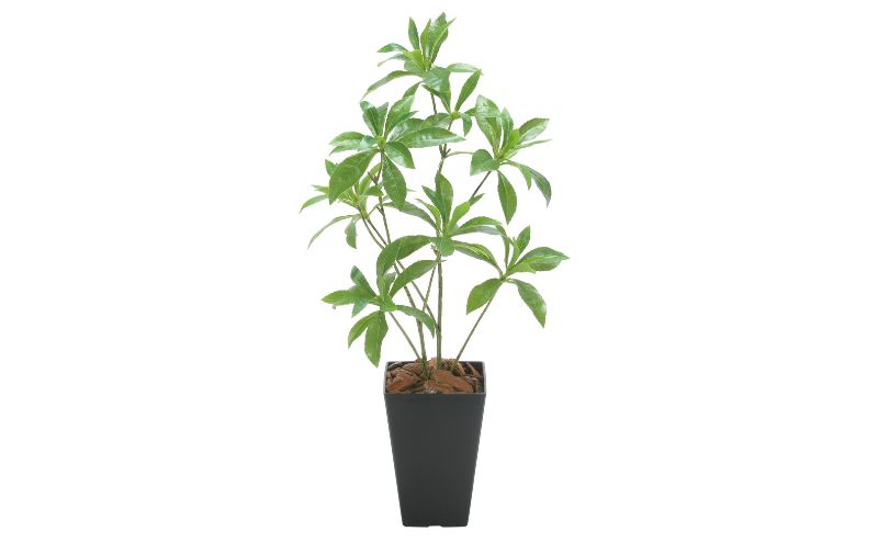 光の楽園 フレッシュアセビ【配送不可：北海道・沖縄・離島】 インテリア 光触媒 人工植物 造花 フェイクグリーン 花 フラワー 清浄 消臭 浜松市