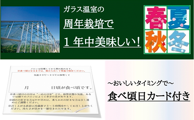 クラウンメロン　白　中玉　1玉　12ヵ月連続お届け【配送不可：離島】