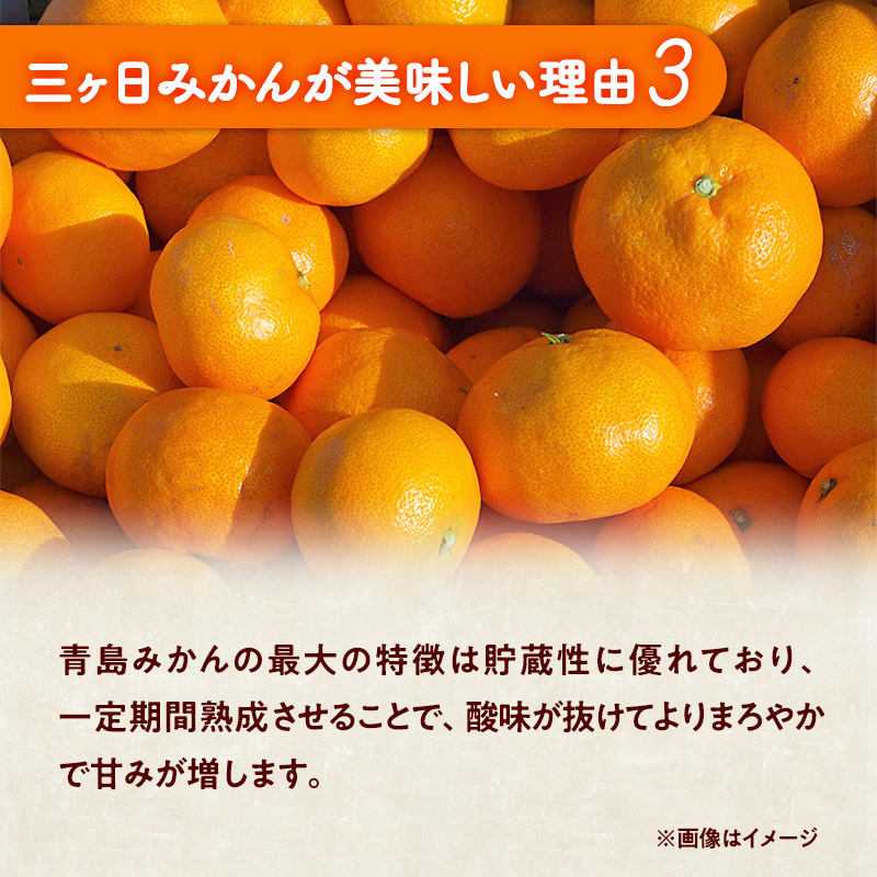 三ヶ日みかん 青島 3kg L又は2L 1月中旬より順次発送 みかん ミカン 蜜柑 青島みかん 三ヶ日 果物 くだもの フルーツ 旬の果物 旬のフルーツ 柑橘 柑橘類 糖度 静岡 静岡県 浜松市