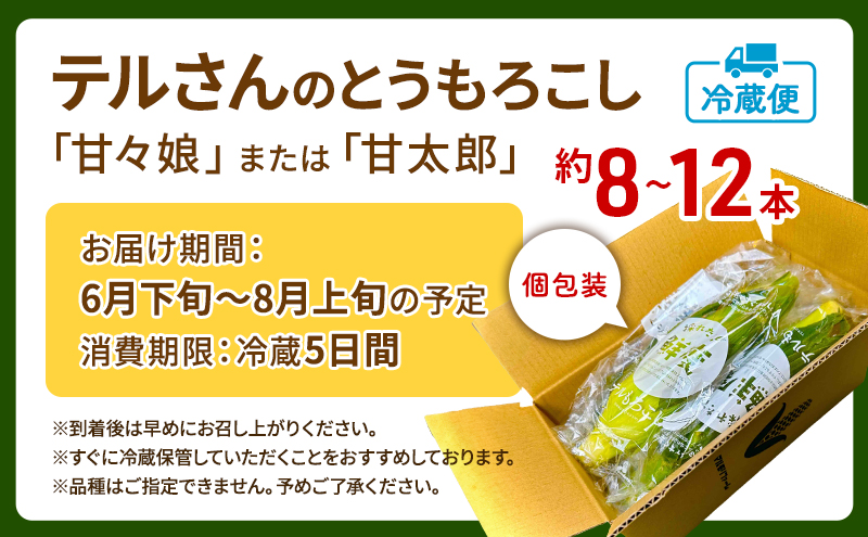 とうもろこし 先行予約 甘々娘 または 甘太郎 約8～12本 2026年配送 配送不可：離島