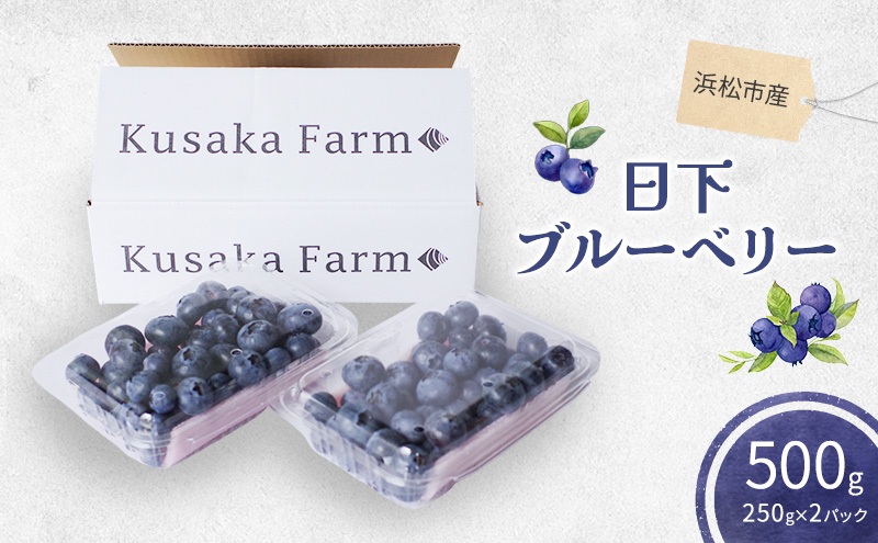 浜松市産日下ブルーベリー500g（250g×2パック）【配送不可：離島】 果物 くだもの フルーツ ブルーベリー 日下農園 大粒 完熟 フレッシュ 豊かな甘み 爽やかな風味 自然 贅沢 手摘み 手作業 静岡 浜松市