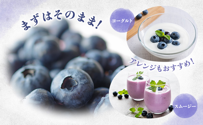浜松市産日下ブルーベリー500g（250g×2パック）【配送不可：離島】 果物 くだもの フルーツ ブルーベリー 日下農園 大粒 完熟 フレッシュ 豊かな甘み 爽やかな風味 自然 贅沢 手摘み 手作業 静岡 浜松市