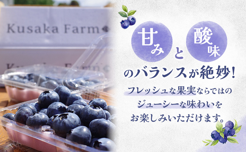 浜松市産日下ブルーベリー500g（250g×2パック）【配送不可：離島】 果物 くだもの フルーツ ブルーベリー 日下農園 大粒 完熟 フレッシュ 豊かな甘み 爽やかな風味 自然 贅沢 手摘み 手作業 静岡 浜松市