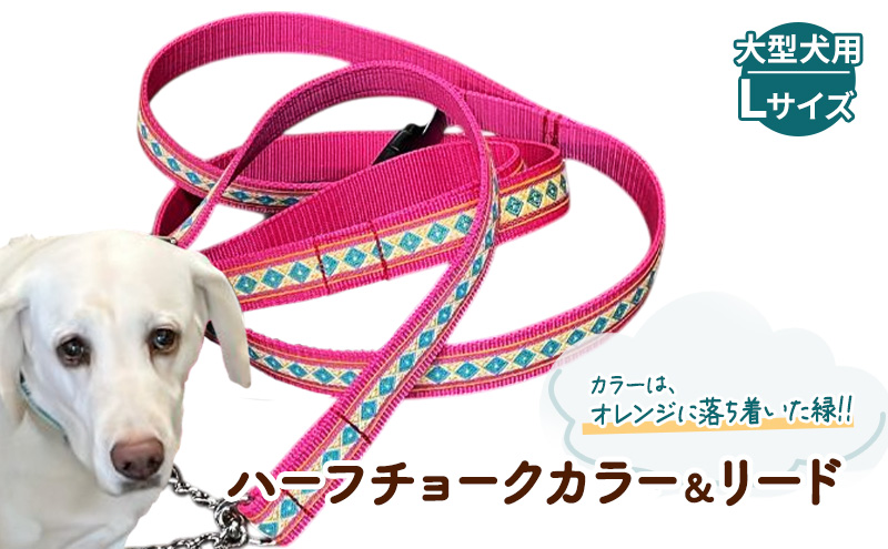 【大型犬用・Lサイズ】 ハーフチョークカラーとリードのセット（オレンジに落ち着いた緑） ペット用品 首輪 リード 大型犬 レトリバー ペット 犬 ワンちゃん セット 浜松市