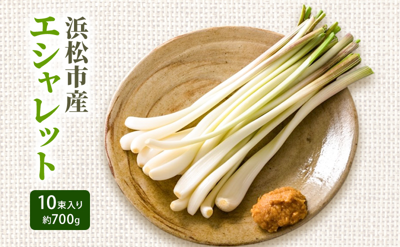静岡県浜松市産エシャレット 10束入り 約700g 箱入り エシャレット 国産 野菜 静岡 浜松市 【配送不可：北海道・沖縄・離島】
