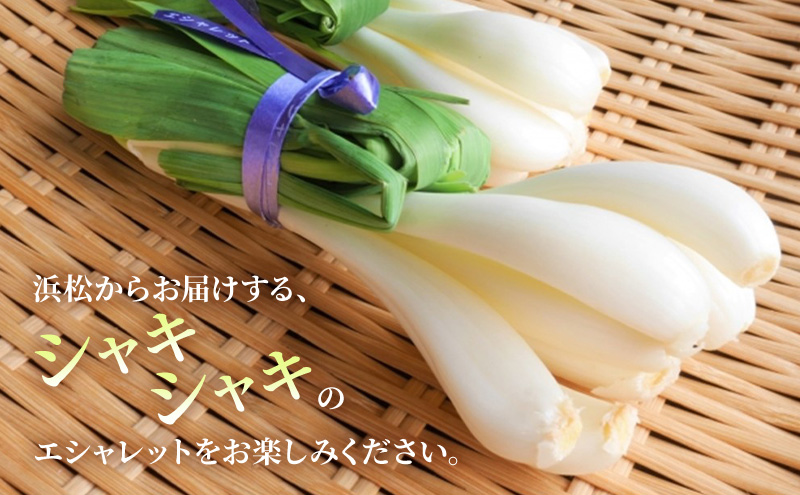 静岡県浜松市産エシャレット 10束入り 約700g 箱入り エシャレット 国産 野菜 静岡 浜松市 【配送不可：北海道・沖縄・離島】