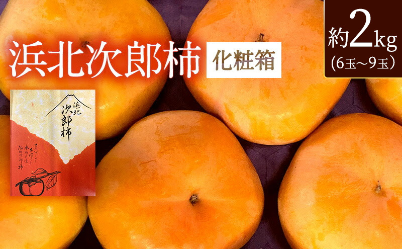 静岡県浜松市産 次郎柿 約2kg 6玉～9玉 柿 甘柿 フルーツ 果物 化粧箱入 静岡 浜松市【配送不可：離島】