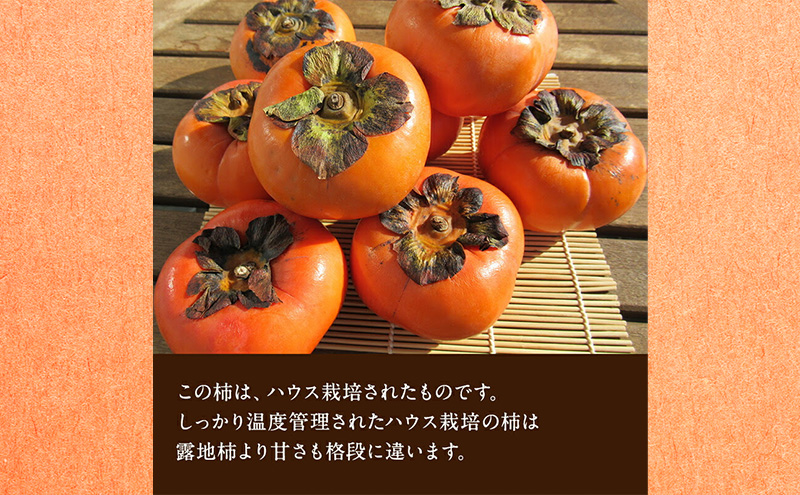 静岡県浜松市産 次郎柿 約2kg 6玉～9玉 柿 甘柿 フルーツ 果物 化粧箱入 静岡 浜松市【配送不可：離島】