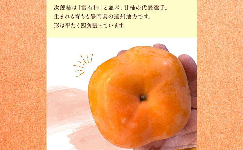 静岡県浜松市産 次郎柿 約2kg 6玉～9玉 柿 甘柿 フルーツ 果物 化粧箱入 静岡 浜松市【配送不可：離島】