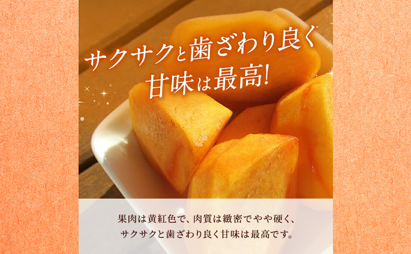 静岡県浜松市産 次郎柿 約2kg 6玉～9玉 柿 甘柿 フルーツ 果物 化粧箱入 静岡 浜松市【配送不可：離島】